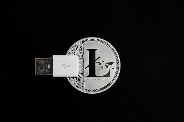 Litecoin coin connected to a USB cable
