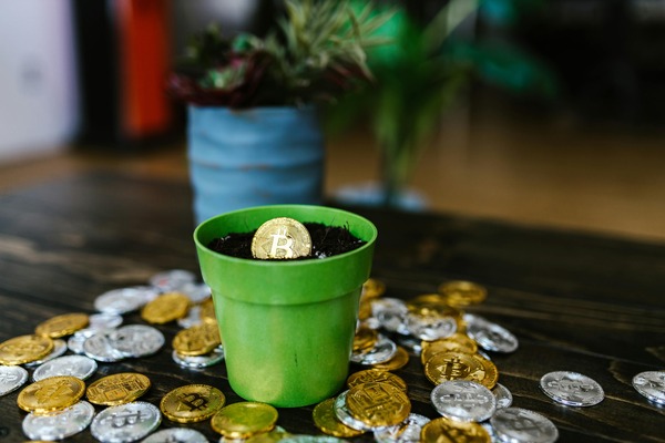 Plant pot surrounded by scattered crypto coins